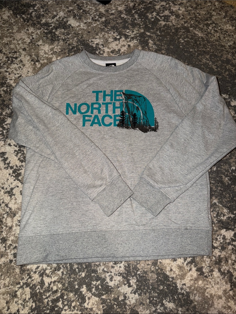 The North Face Gray Crewneck Sweatshirt with Teal Logo Graphic and Embroidery